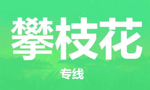 邯鄲到攀枝花物流專線-貨運直達(dá)-直送各區(qū)域-專業(yè)物流管理服務(wù)