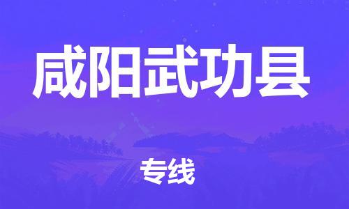 邯鄲到咸陽(yáng)武功縣物流公司-貨運(yùn)公司丟損必賠-天天發(fā)車(chē)